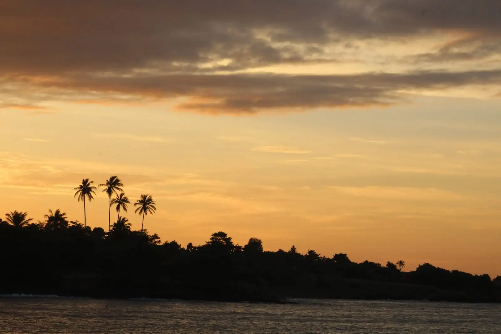 Palm trees in silhouette along the coast against an orange sunset sky.