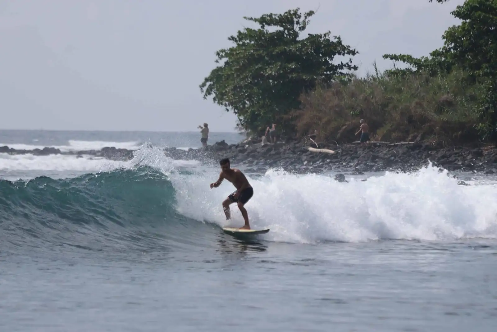 A surfer stands on a board riding a wave that breaks beside a rocky, tree-covered point.